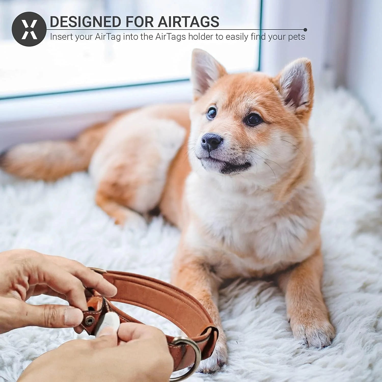 Leather Airtag Collar
