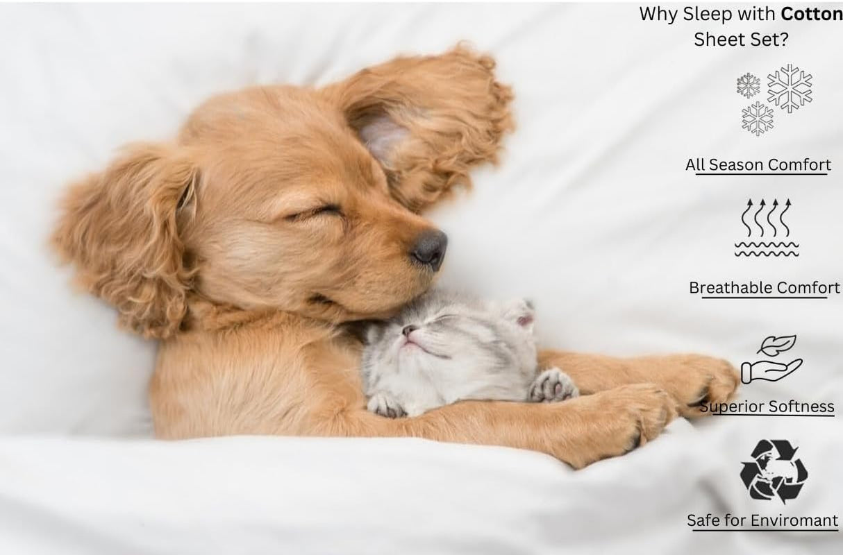 Split King Bed Sheets 5 Pieces 100% Egyptian Cotton Sheets for Split King Adjustable Bed 16 Inch Deep Pocket Split King Sheets Sets for Adjustable Beds White Solid