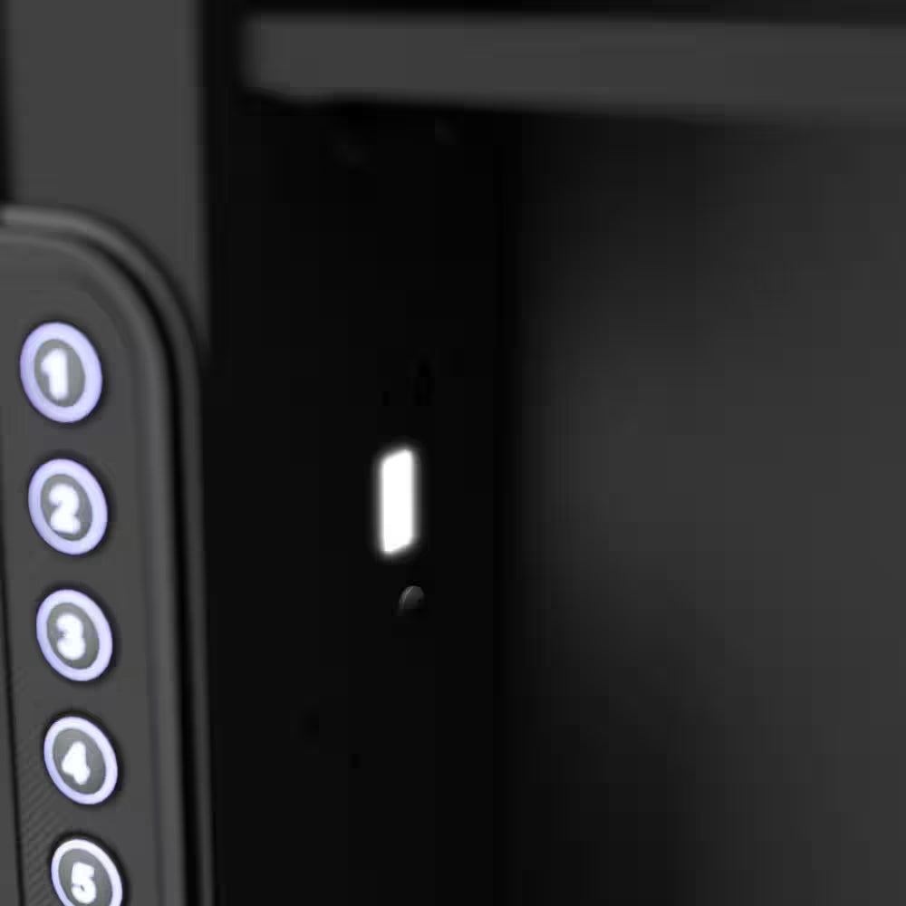 In-Wall Vault with Electronic Lock, Matte Black