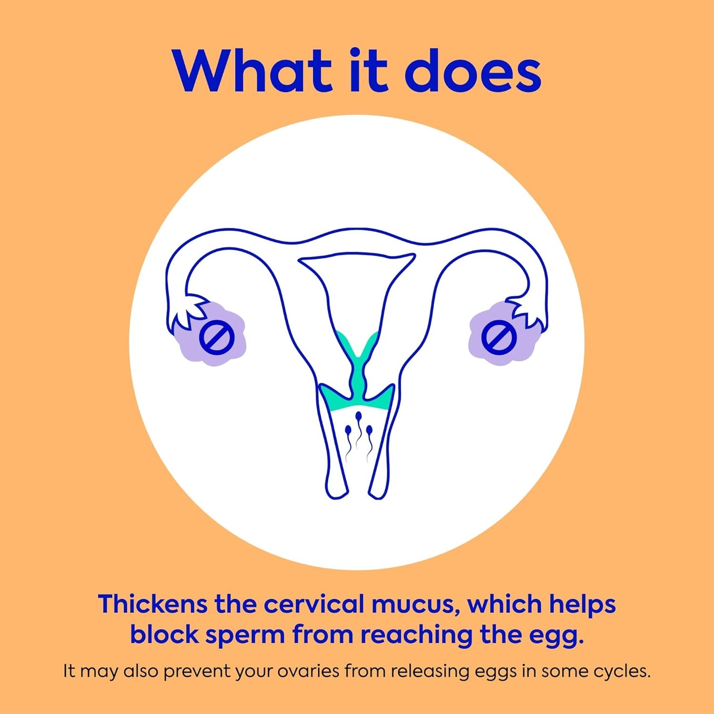 , Daily Oral Birth Control Pills, Over-The-Counter Progestin-Only Contraceptive, Fda-Approved & Estrogen-Free, 84 Count