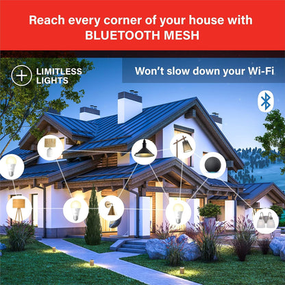 Alexa Light Bulb, Bluetooth Mesh Smart Light Bulbs, Smart Bulbs That Work with Alexa Only, Dimmable LED Bulb E26 A19, 60W Equivalent Soft White 800LM, Certified for Humans Device, 4 Pack