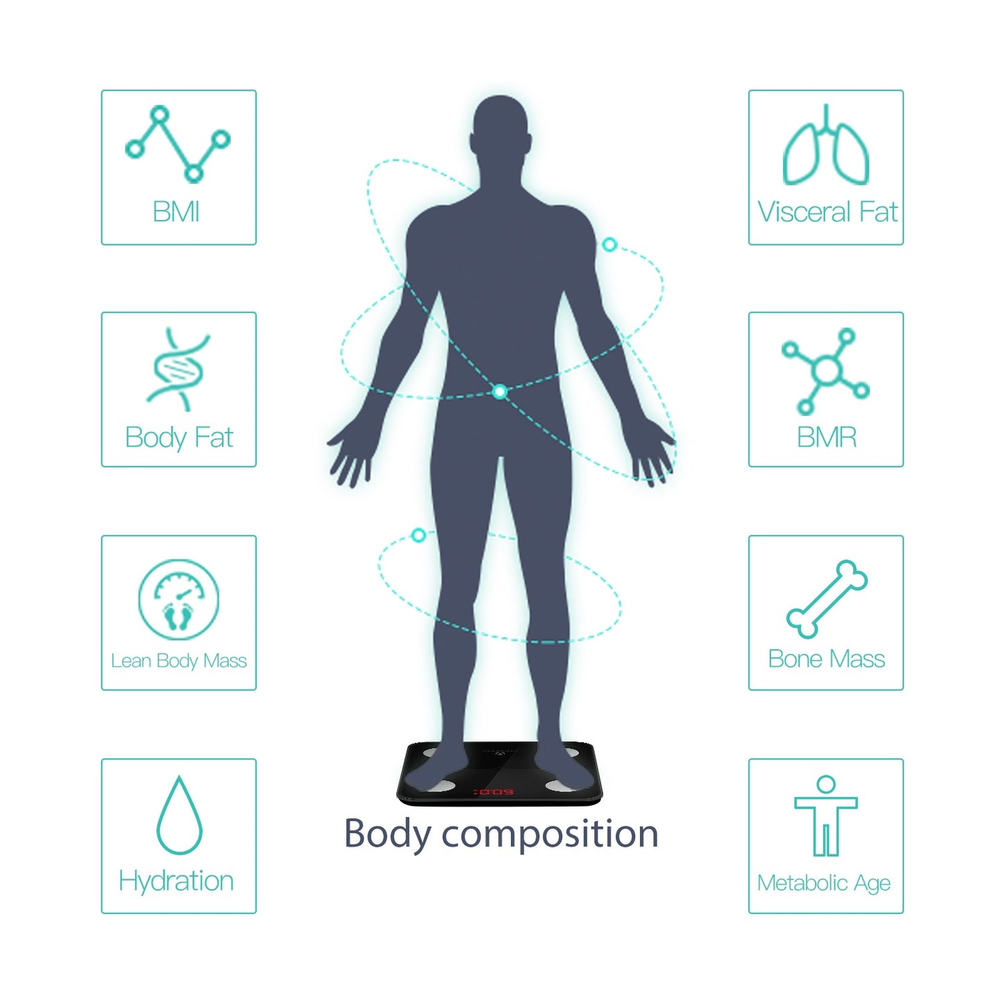 Minimi Smart Body Fat Scale with Bluetooth Detailed Body Composition Analysis, Black